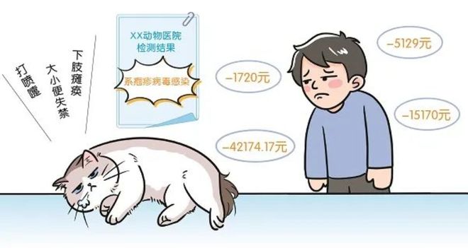 3萬買貓后續(xù)治療費6萬法院判了！(圖3)