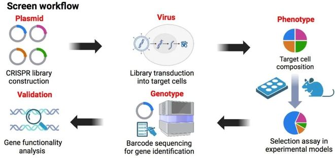 腫瘤CRISPRScreen在線平臺！重磅推薦！(圖1)
