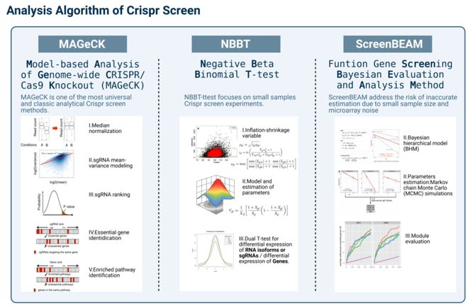 腫瘤CRISPRScreen在線平臺！重磅推薦！(圖5)