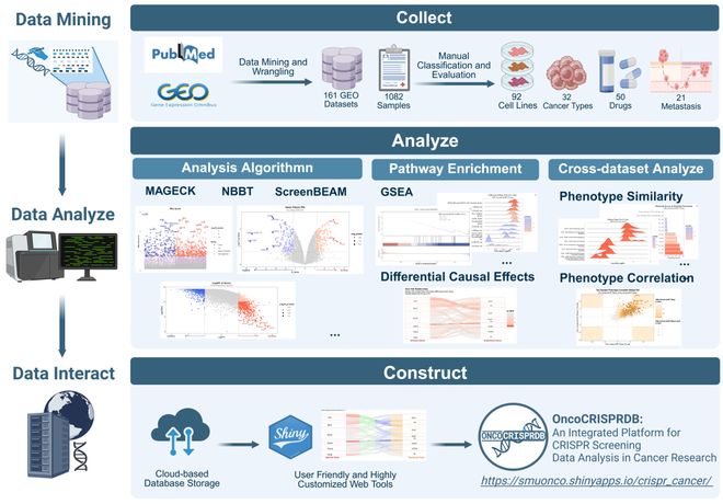 腫瘤CRISPRScreen在線平臺！重磅推薦！(圖3)